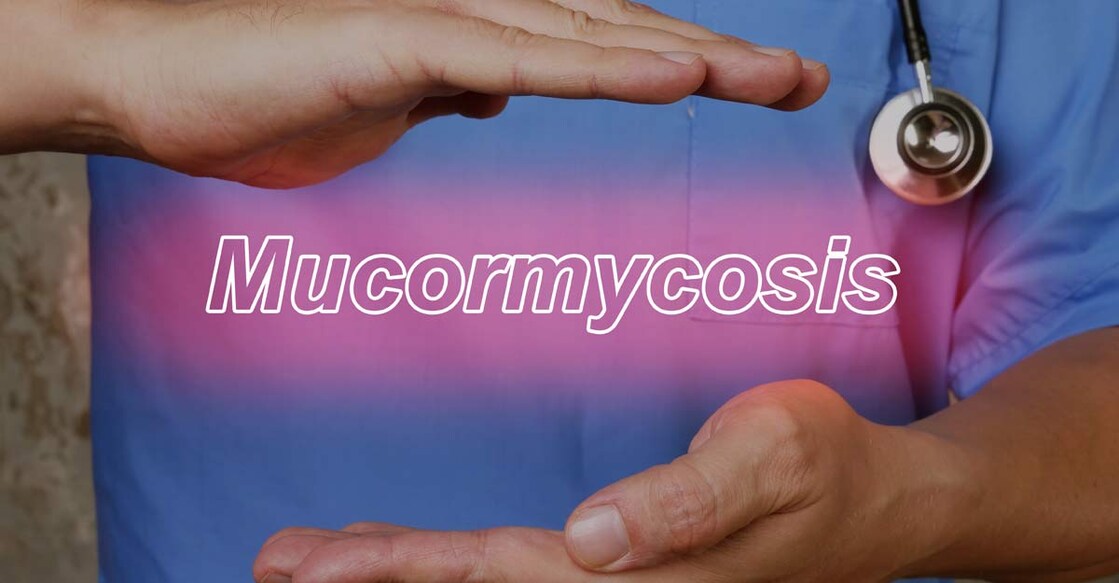 mucormycosis 
