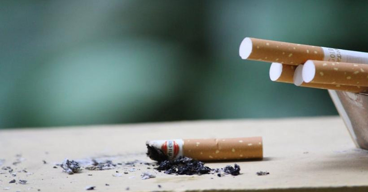 tobacco