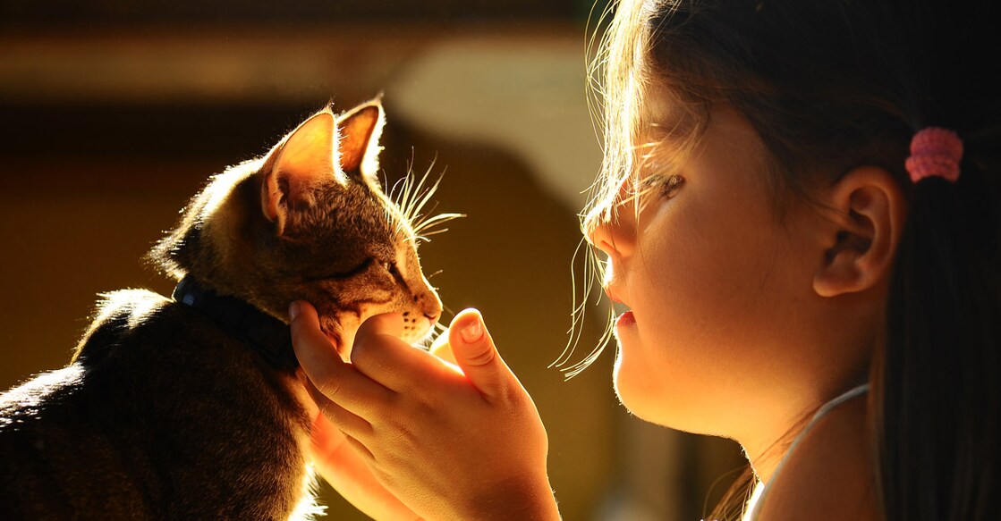 pets