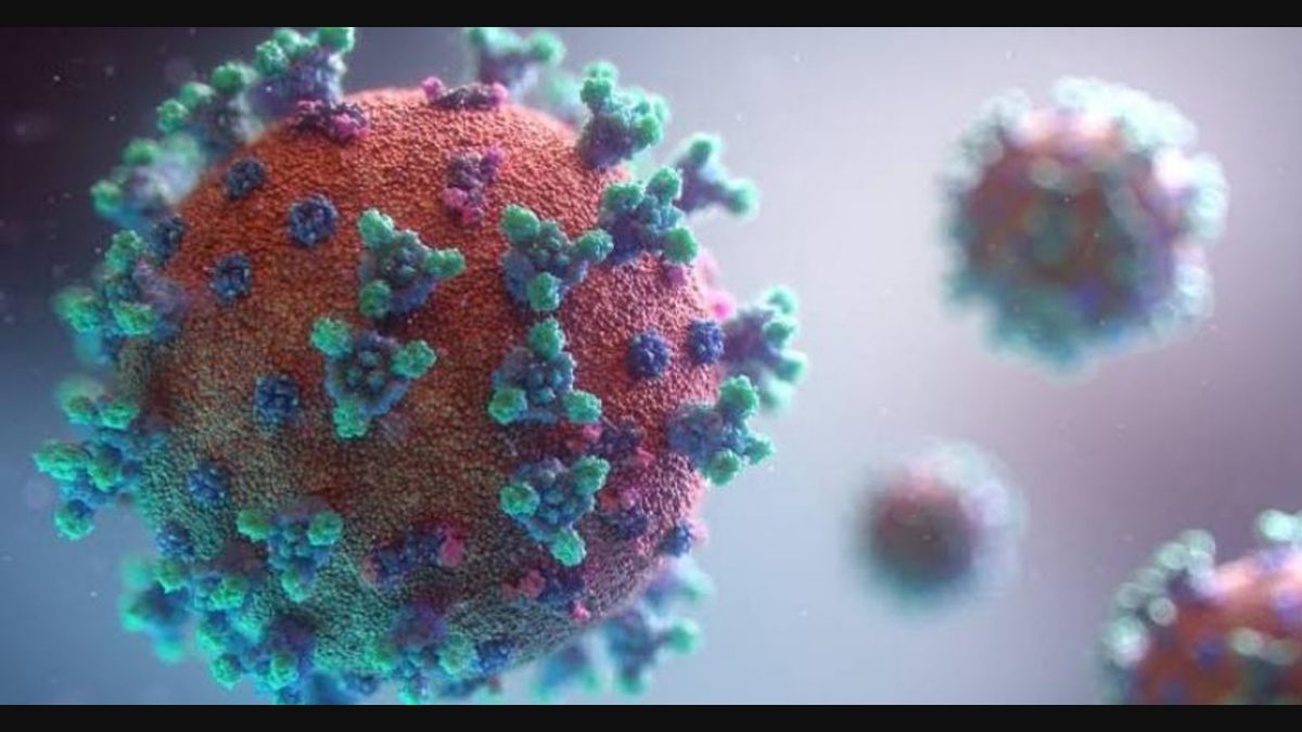 Covid Delta Plus Variants Found In Kerala S Palakkad Pathanamthitta Districts