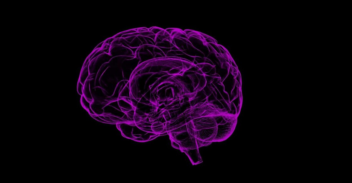 brain brain