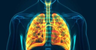 Are we taking care of our lungs enough? Things to know