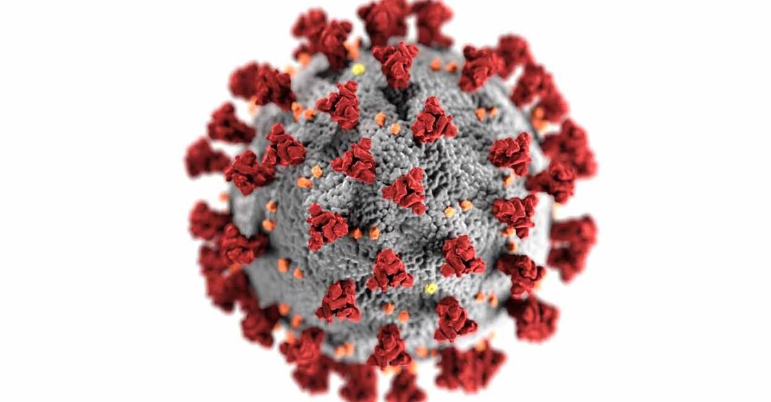 coronavirus