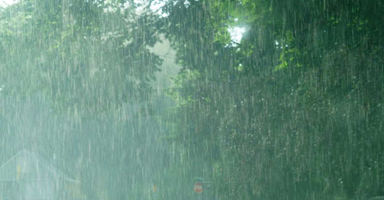 Effort to avoid any stagnation of water in and around homes is very important.