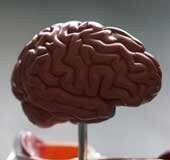 Advances in neuro-psychiatry transforming approach to mental health