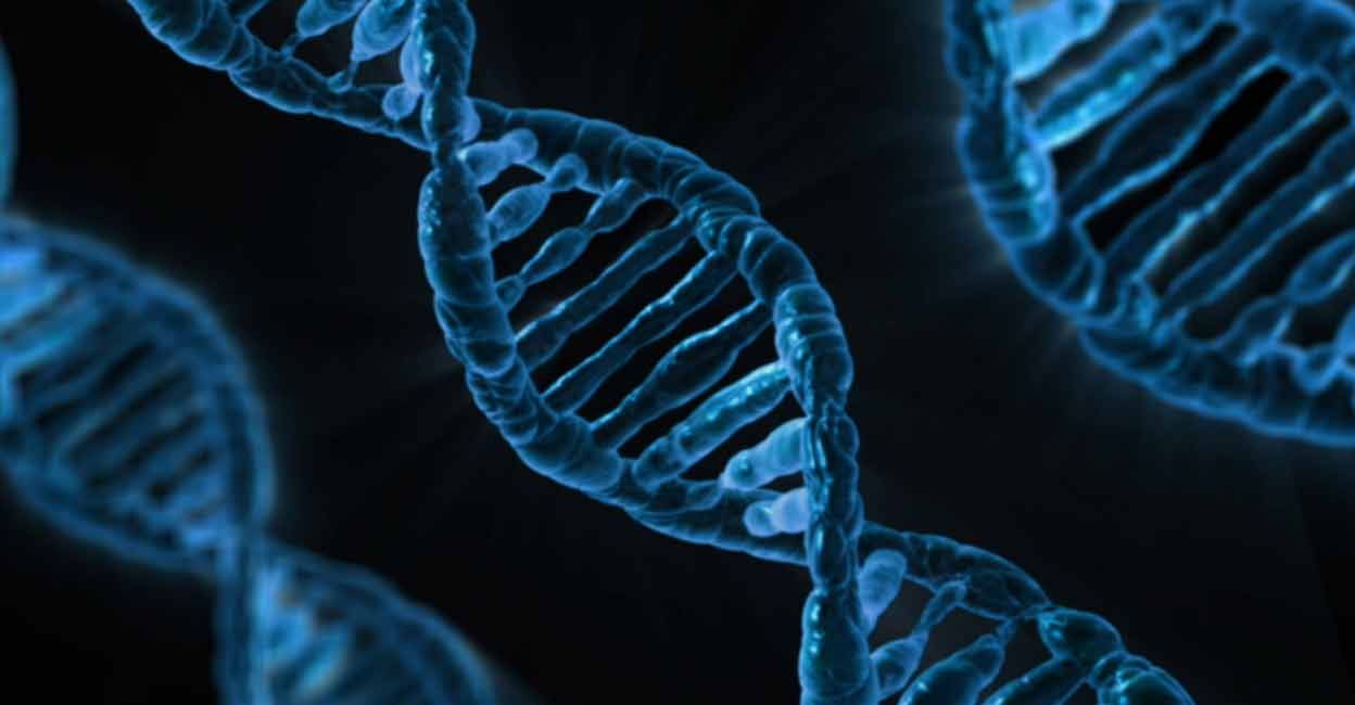 DNA