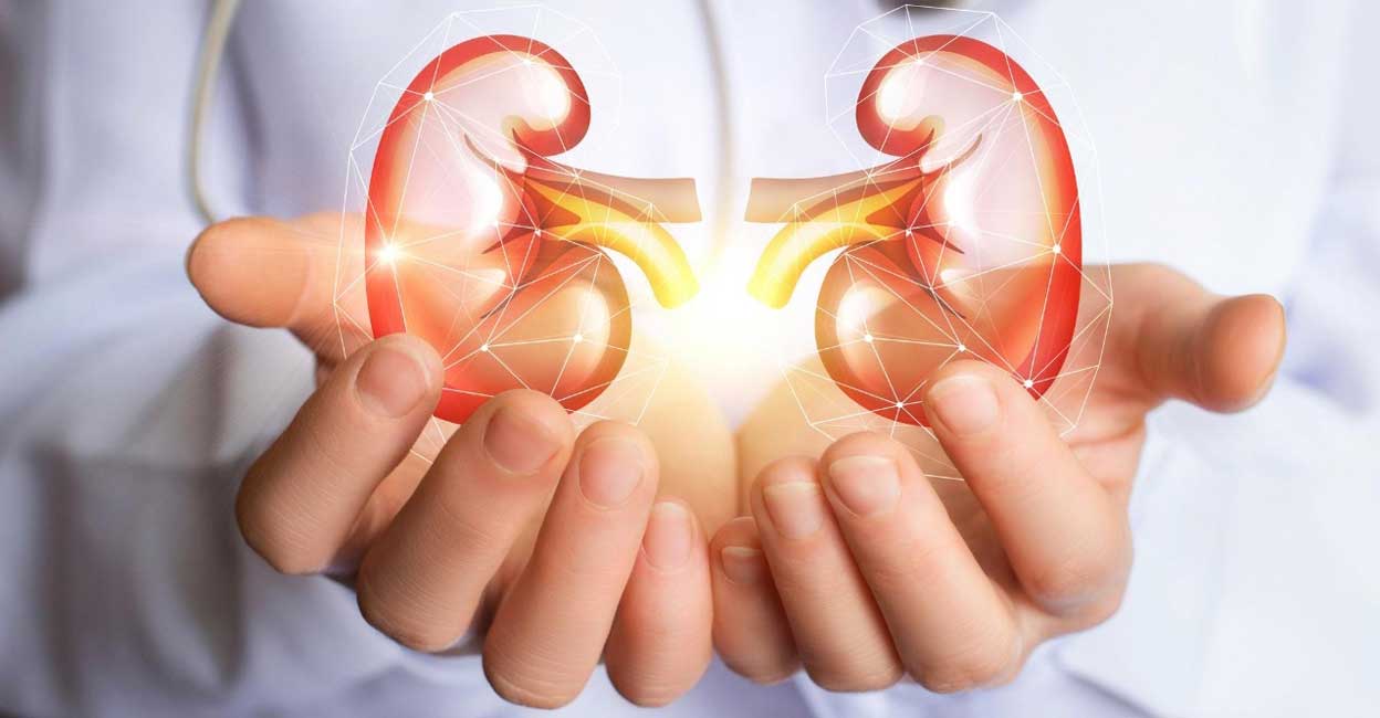 After renal transplant, Chennai man has 5 kidneys in his body