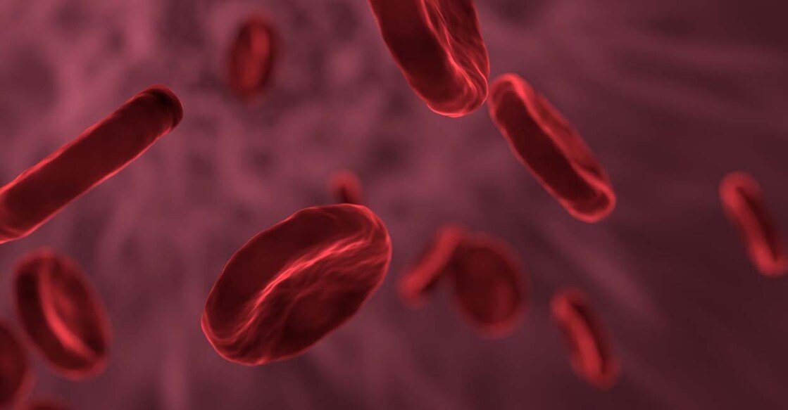 blood cells