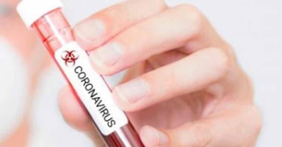 Science essential to determine COVID-19 origins: US scholar Representational image: IANS