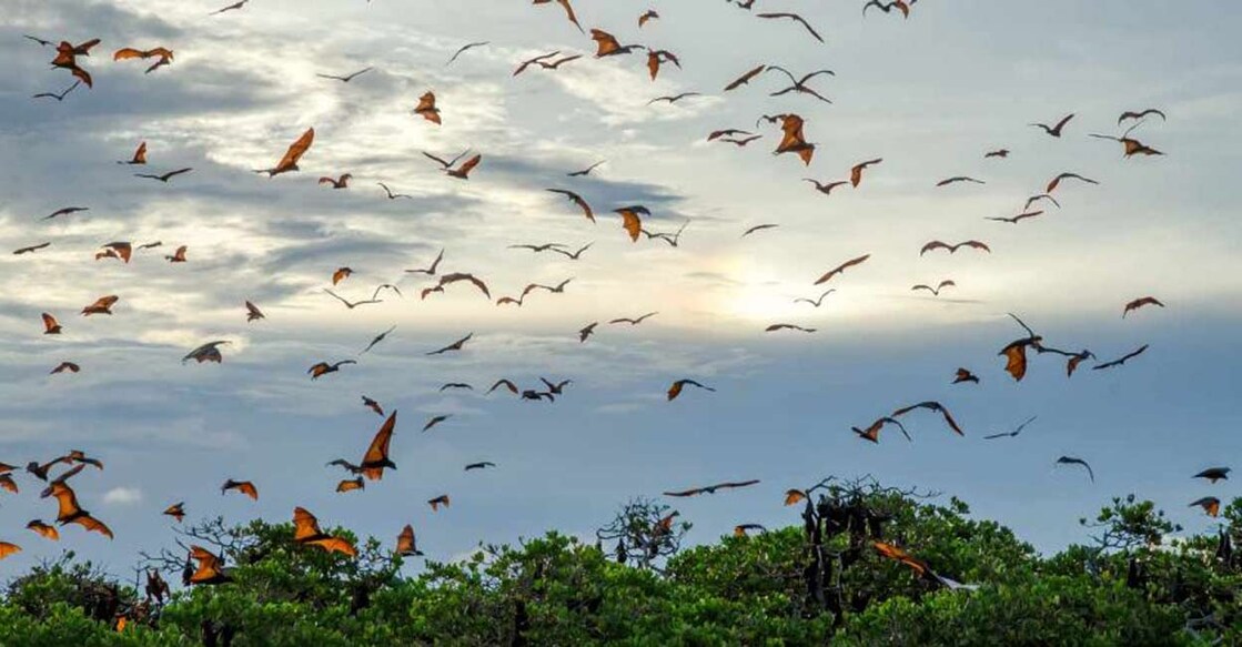 Representative image, Courtesy: Sytilin Pavel/shutterstock