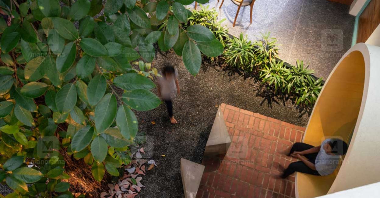 simple-house-banyan-tree-c simple-house-banyan-tree-c