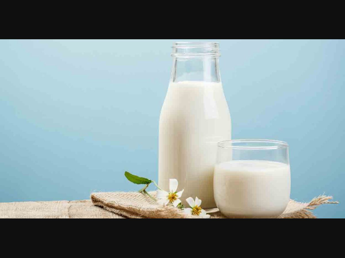 should you drink milk everyday