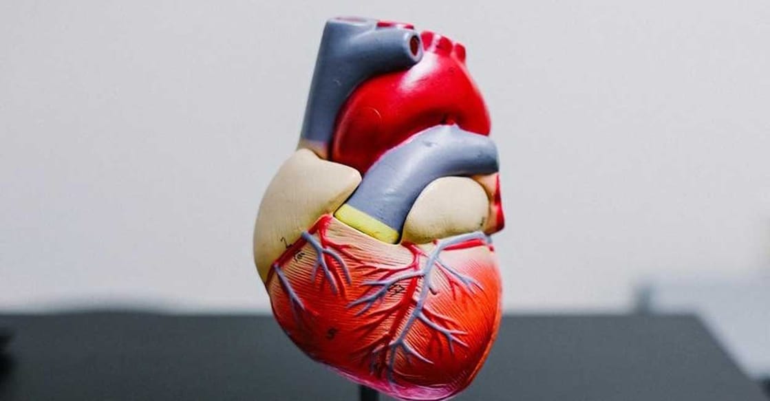 Representative image. Photo: IANS