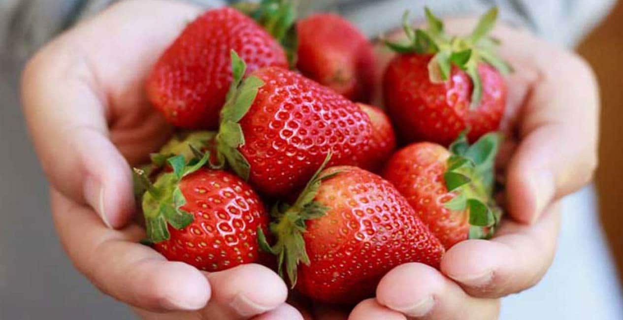 Hepatitis A outbreak in the US, Canada likely caused by fresh organic