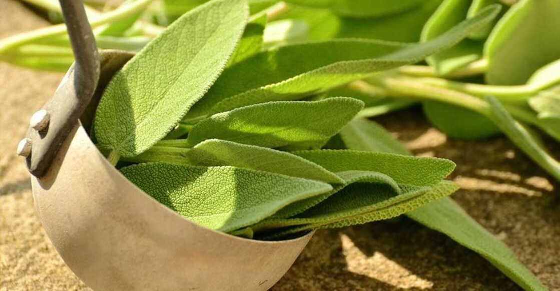 The study found several anti-diabetic properties in herbal components. Photo: IANS