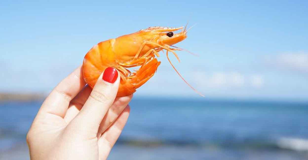 Shrimps are rich in omega-3 fatty acids. Photo: IANS