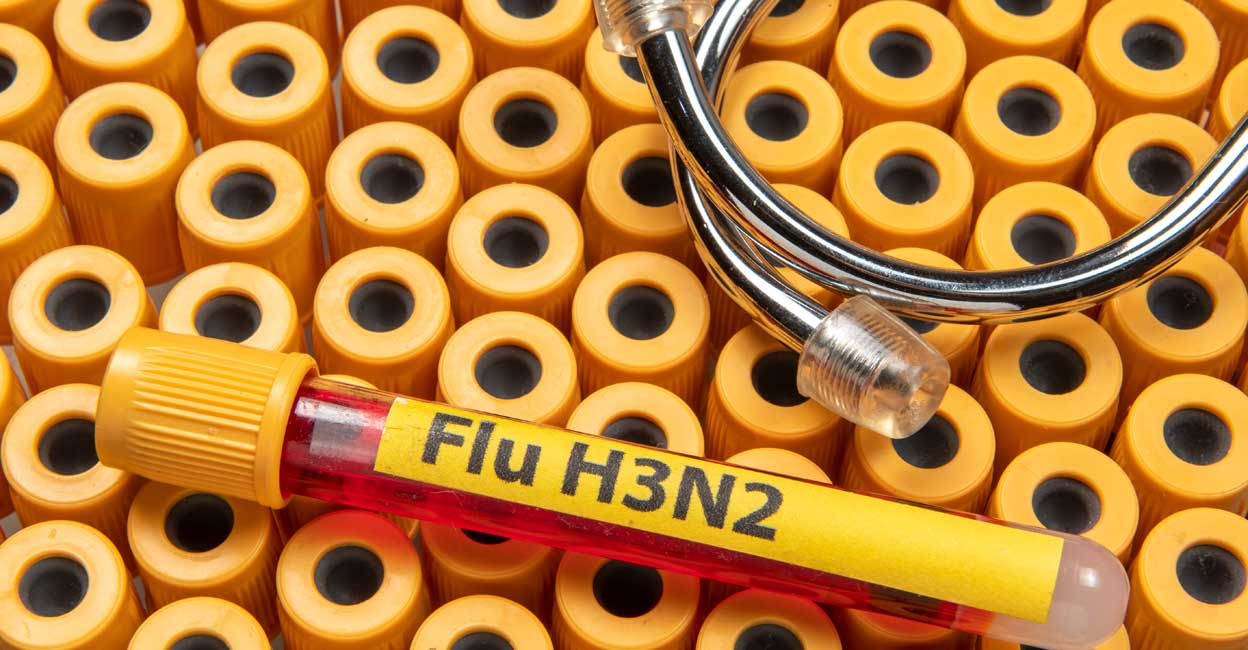 H3N2 is an influenza A-type virus, commonly known as the flu. Representational image. Photo: Celso Pupo/Shuttersto