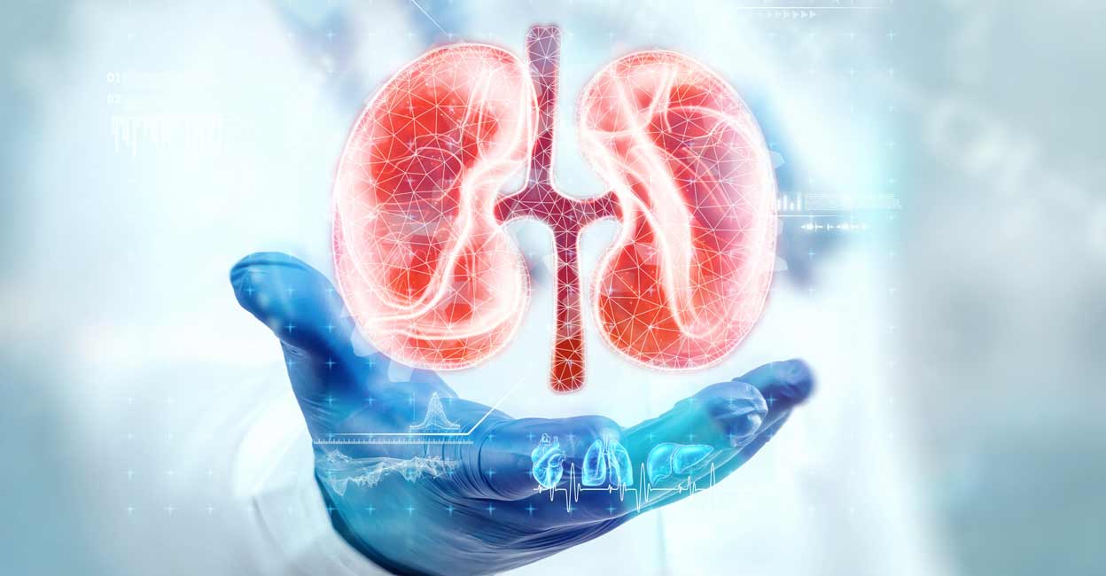 Identifying kidney disease before it causes too much of kidney damage is essential. Image courtesy: Marko Aliaksandr / Shutterstock