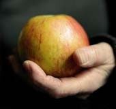 Tips to store apples fresh in fridge for many days