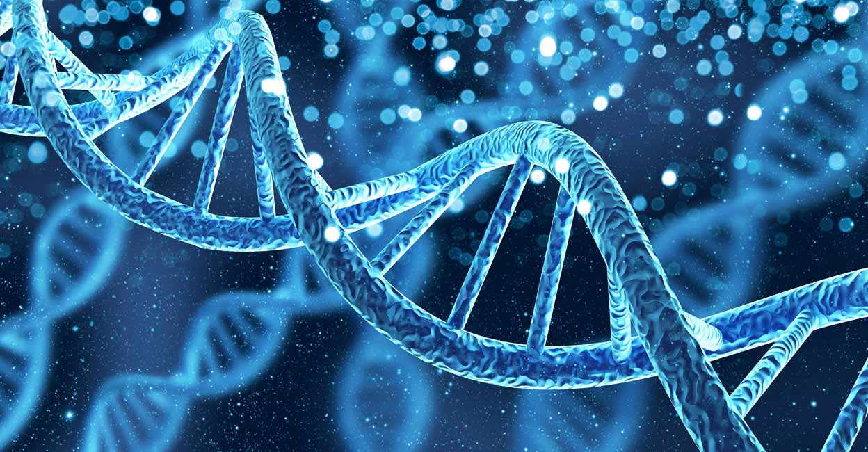 genetics