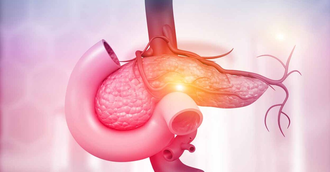 The research revealed that activation of macrophages directly in the duodenum leads to a halt in iron availability in the body. Explode / Shutterstock