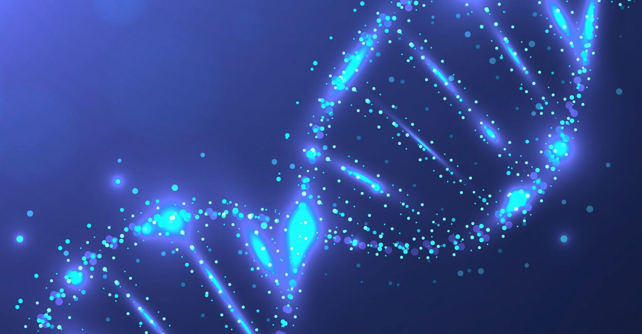 More than 30 research teams surveyed and analysed the genomes of 240 mammal species. Photo: IANS