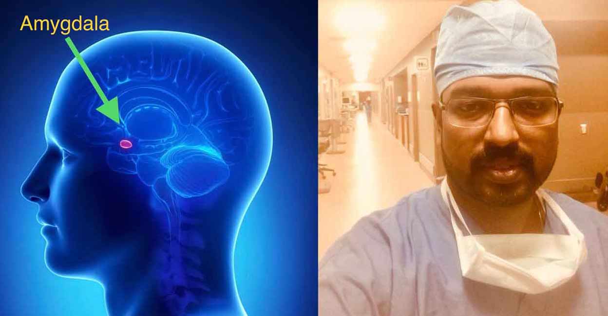 The amygdala is the most important part of the limbic system, Dr. Sarish Kumar (R)