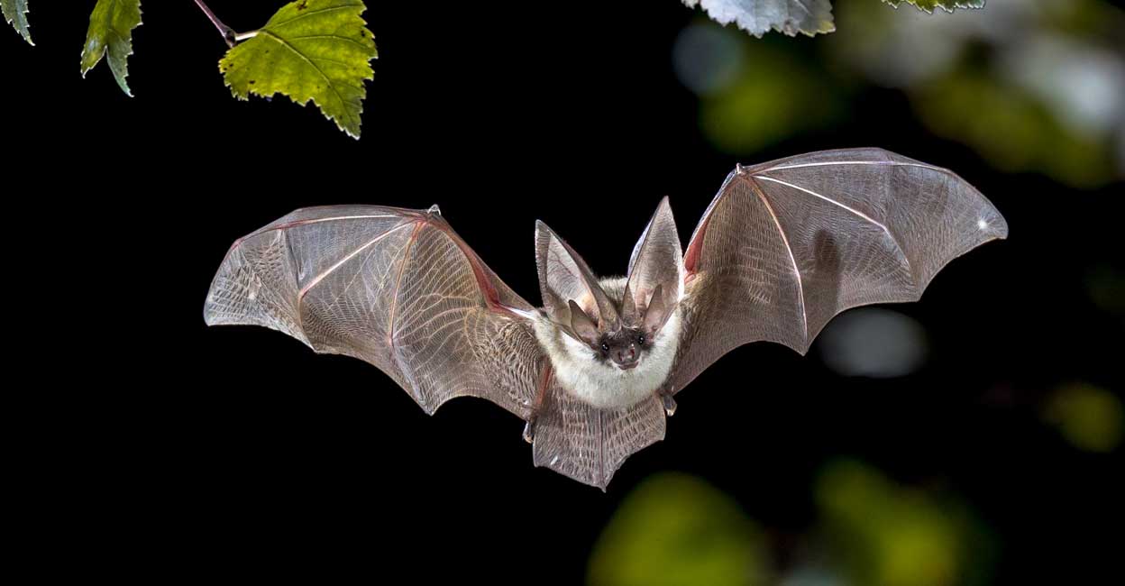 Representational image