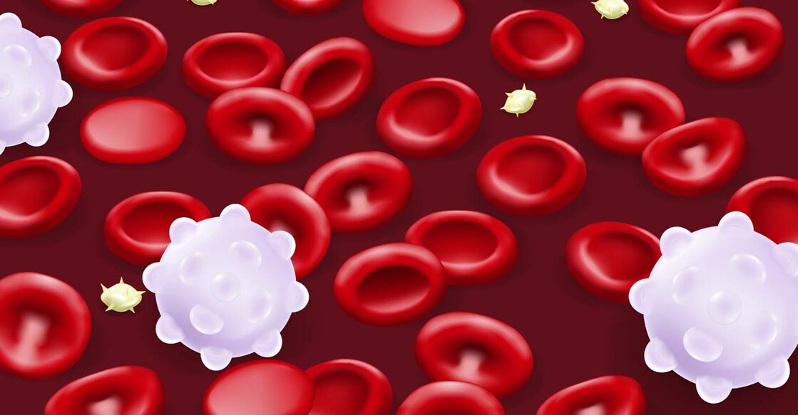 The symptoms of thalassemia can vary depending on the type and severity of the condition. Representational image: Dee-sign / Shutterstock