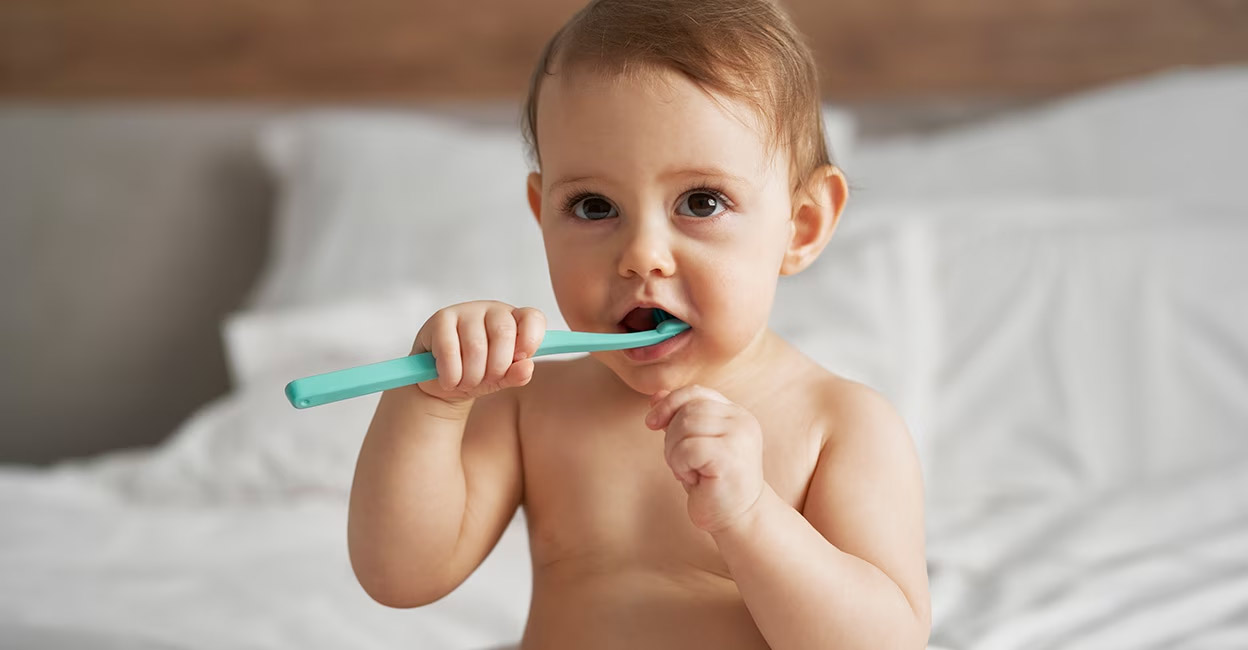 Primary teeth start sprouting in a baby around the sixth month. Photo: gpointstudio/ Istockphoto