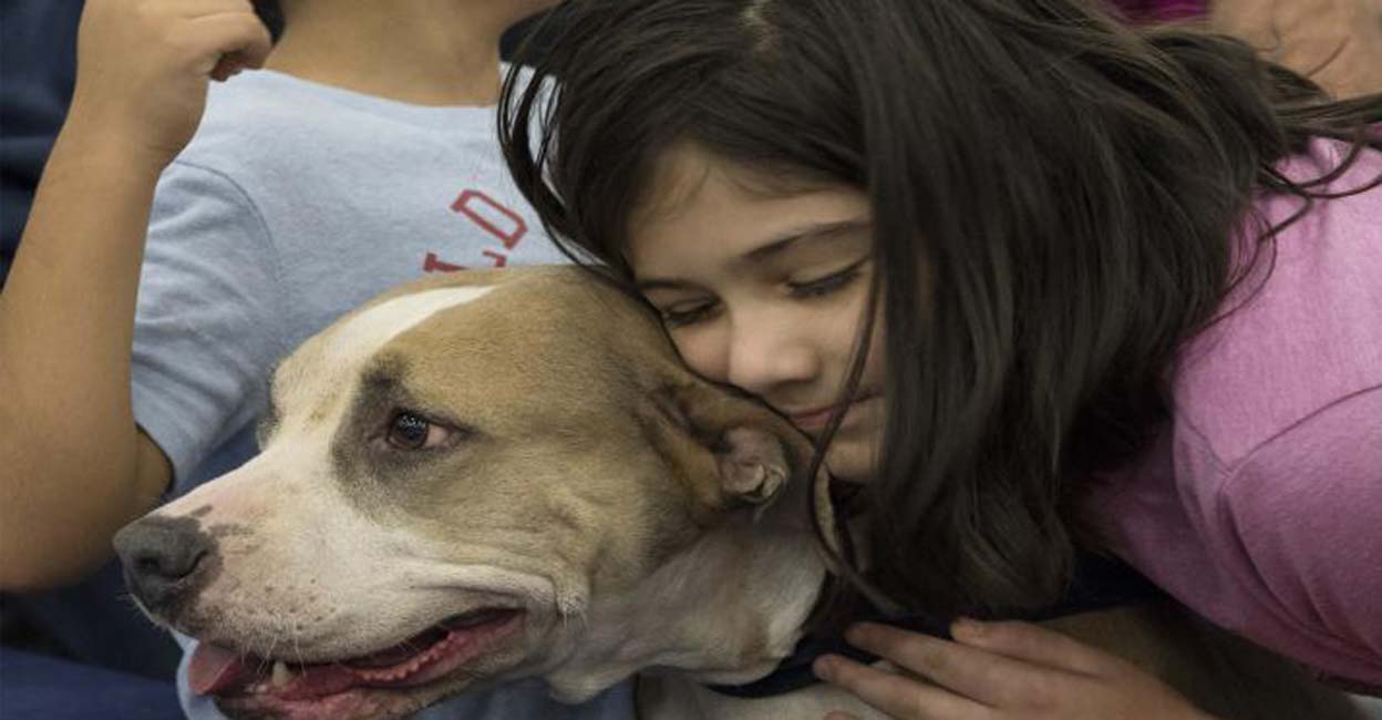 canine-friend-c Now, canine friends can pave way for cancer cure in humans. Photo: IANS