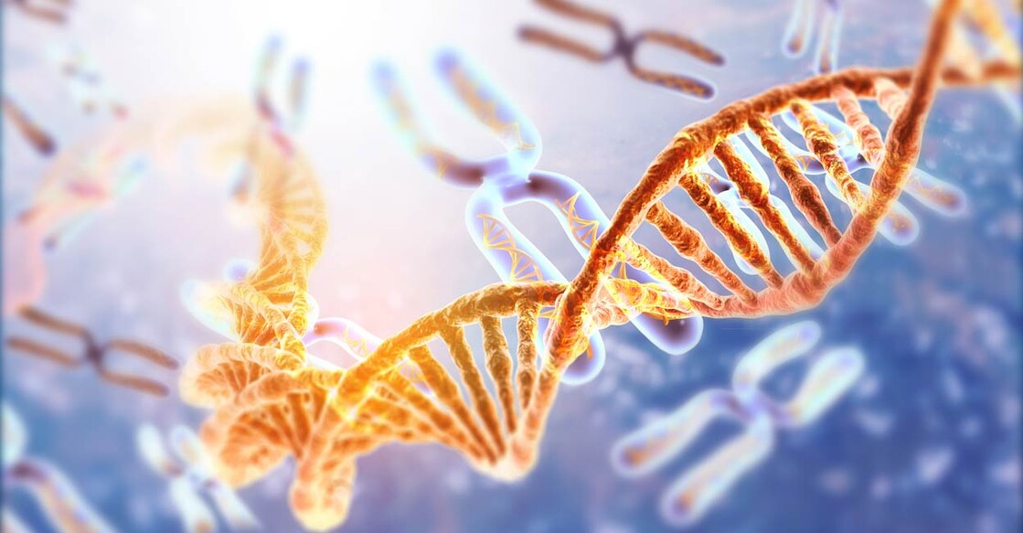 By selectively targeting genes that are amplified or deleted due to aneuploidy, therapies can be designed to disrupt cancer cell growth. Photo: Rasi Bhadramani / iStock