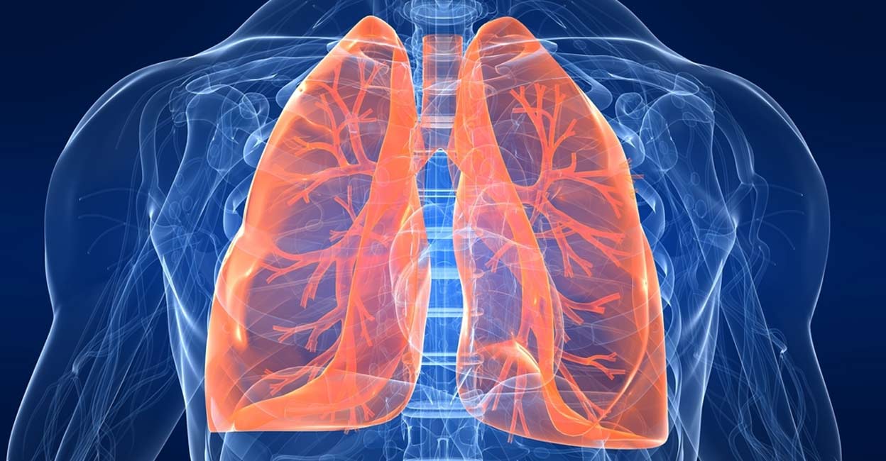 Studies showed that omega-3 fatty acids can help prevent a decline in lung function. Photo: IANS