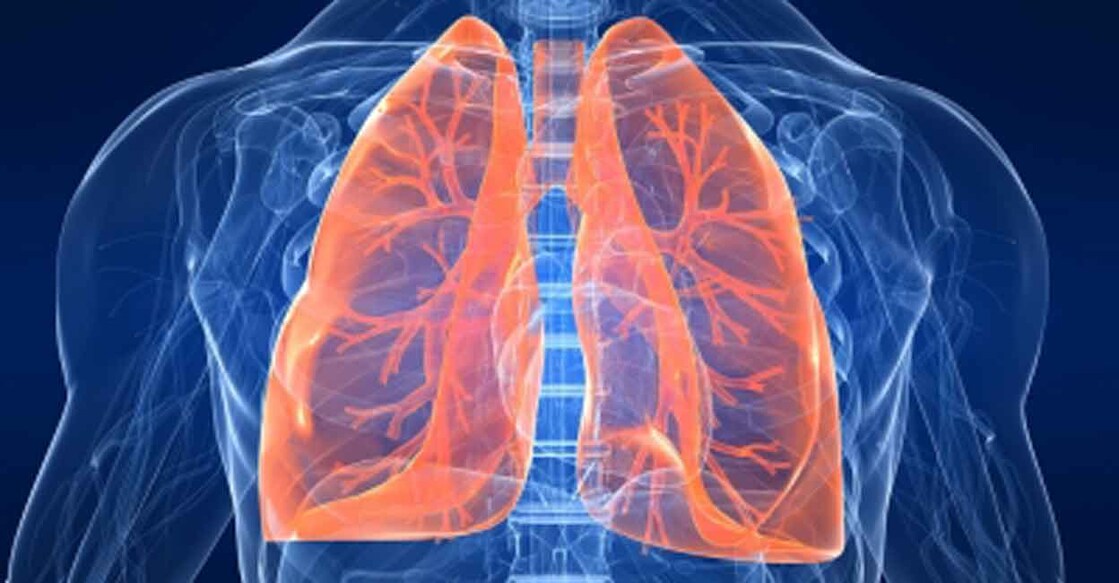 The lung barrier between the body and the air outside is only made up of two layers -- endothelial cells and epithelial cells. Photo: IANS 