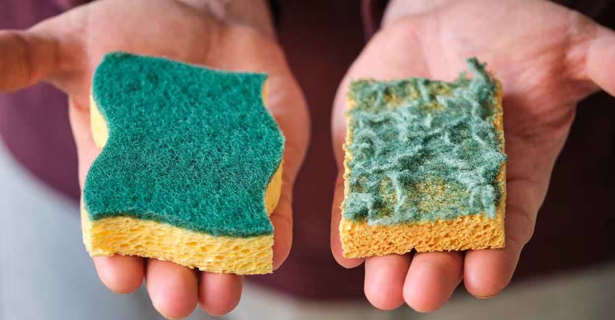 In a study done in 2007, it was found that microwaving the sponge could destroy up to 99.9 per cent of bacteria. Photo: iStock/Ladanifer