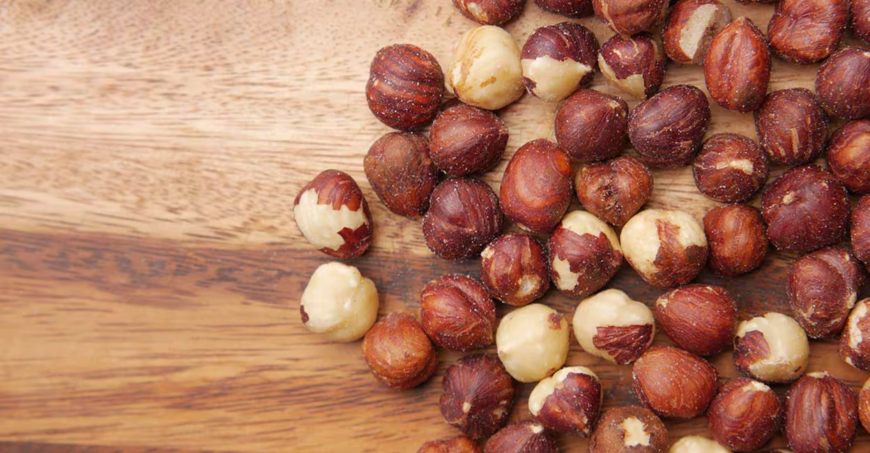 Hazelnut is a storehouse of monounsaturated fat that increases the level of good cholesterol and reduces bad cholesterol. Photo: iStock/Ahamed