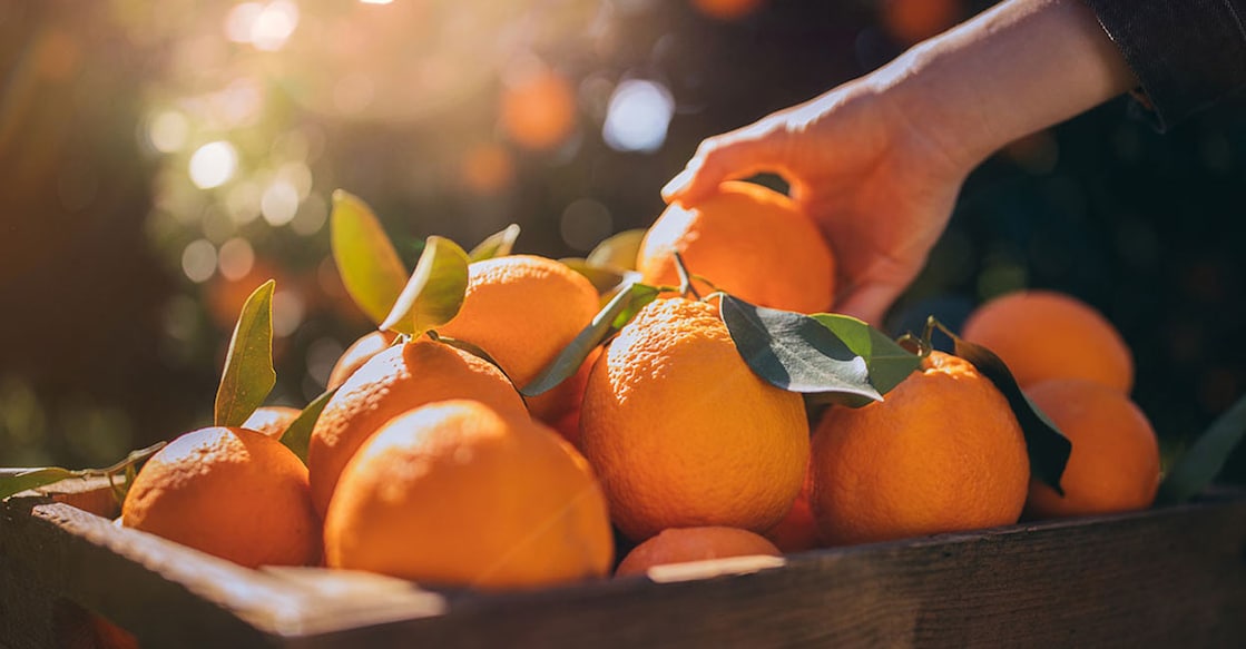 oranges When eaten with lunch or dinner, oranges can produce toxins in the body, slowing down digestion. Photo: iStock/wundervisuals