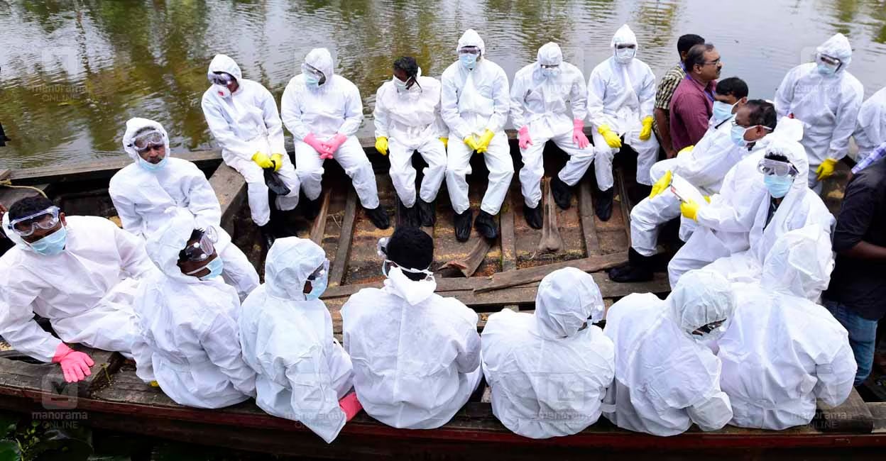 Bird flu virus mutates, more dangerous than COVID: How is it spreading ...