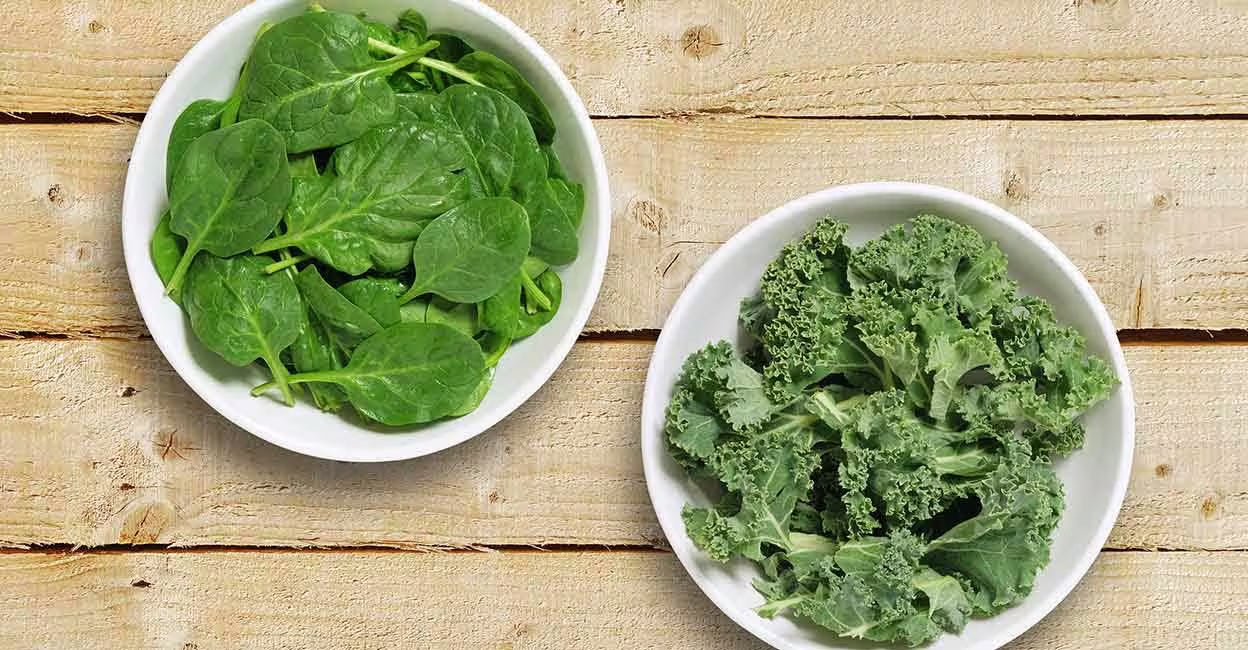 spinach-kale Both spinach and kale are available in different colours. Photo: Shutterstock