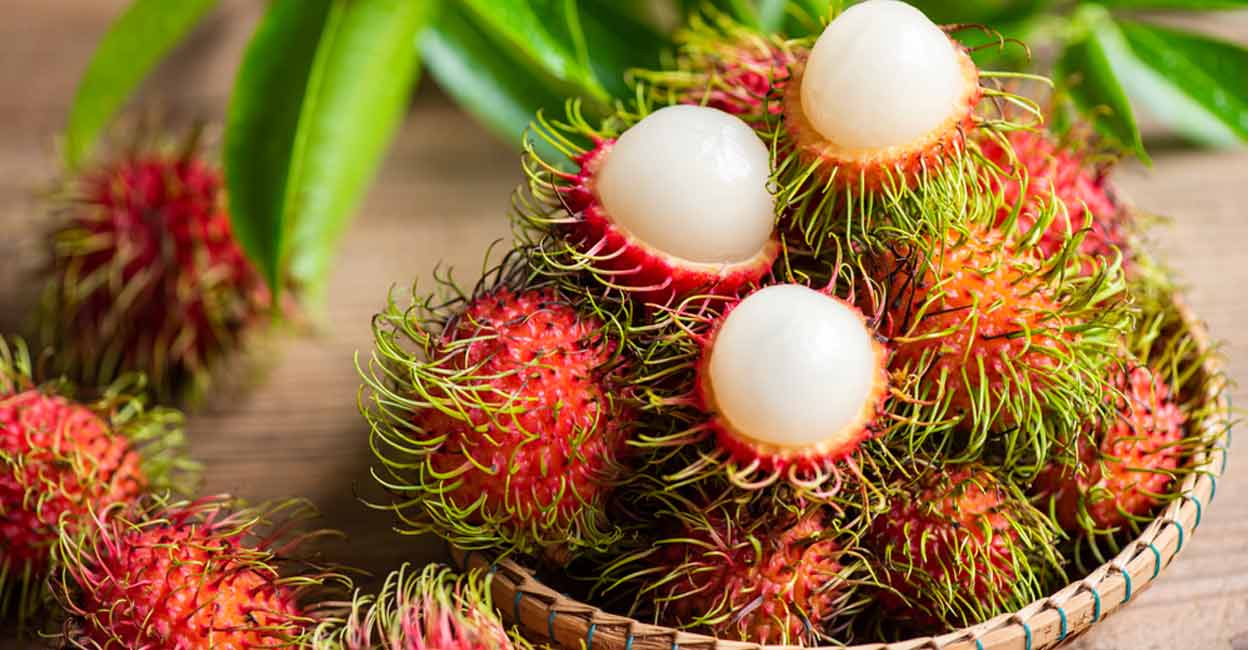A medium-sized rambutan fruit has only about 7 calories and can be a sweet treat to those looking to enjoy a snack without many calories. Photo: Shutterstock/Bigc Studio