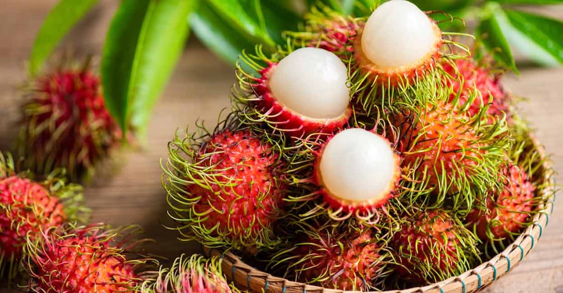 A medium-sized rambutan fruit has only about 7 calories and can be a sweet treat to those looking to enjoy a snack without many calories. Photo: Shutterstock/Bigc Studio