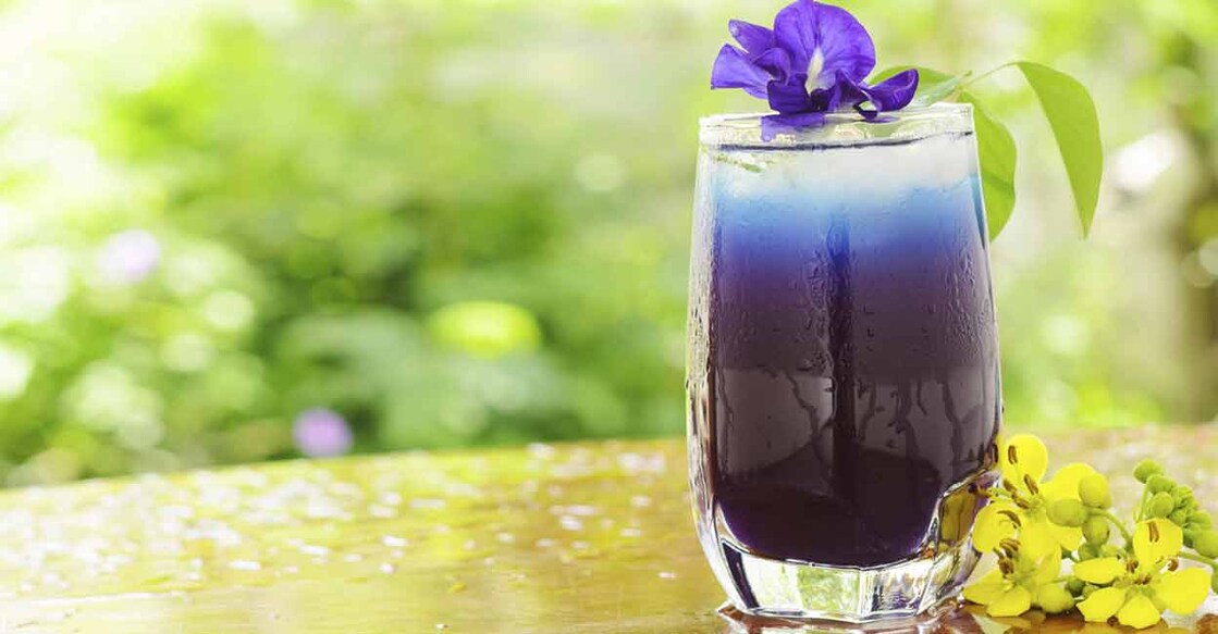 The blue and white varieties of the flower are the most popular, though the plant also has flowers in many other colours. Photo: Shutterstock/visitor 66