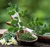 Moringa: Did you know  about these side effects?