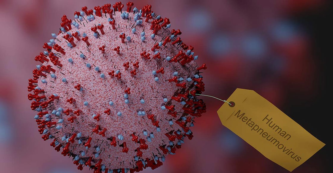 hmpv-virus While there are no antiviral medications to treat HMPV, doctors advise managing symptoms at home unless severely ill. Photo: iStock/Peter Hansen