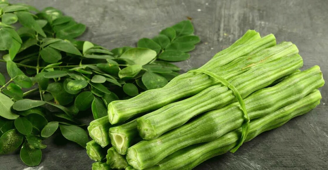 Both drumsticks and moringa leaves could be consumed for a healthy supply of protein. Photo: iStock/SUSANSAM