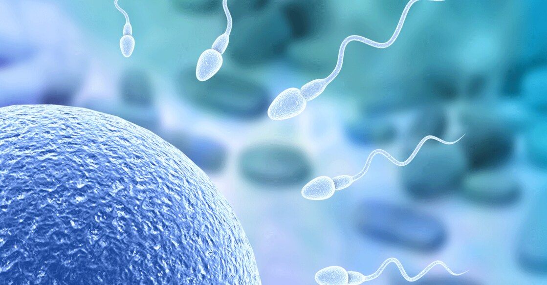 Eat a healthy diet including vegetables and fruit rich in antioxidants for a healthy sperm count.  Photo: iStock/Rasi Bhadramani