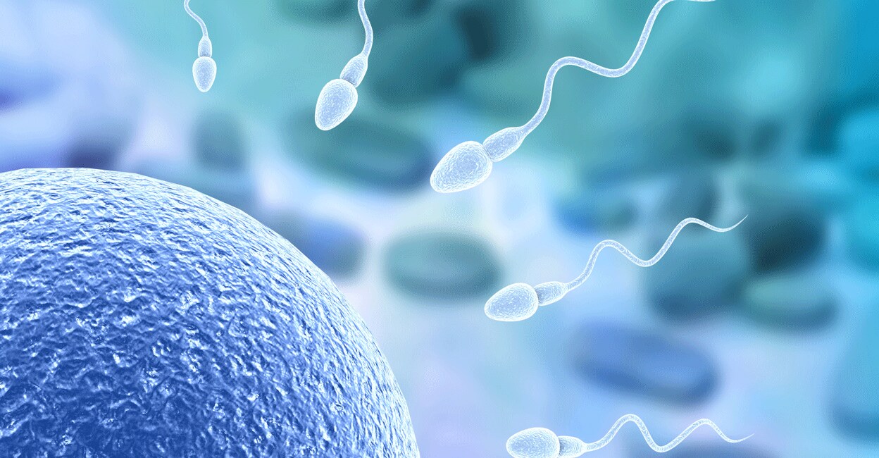Eat a healthy diet including vegetables and fruit rich in antioxidants for a healthy sperm count.  Photo: iStock/Rasi Bhadramani