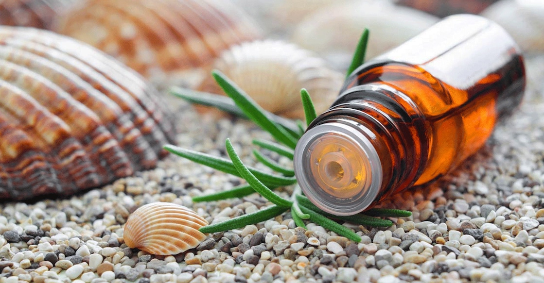 rosemary-oil-for-hair