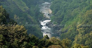 Column | When a people’s movement mobilised global support to save Silent Valley