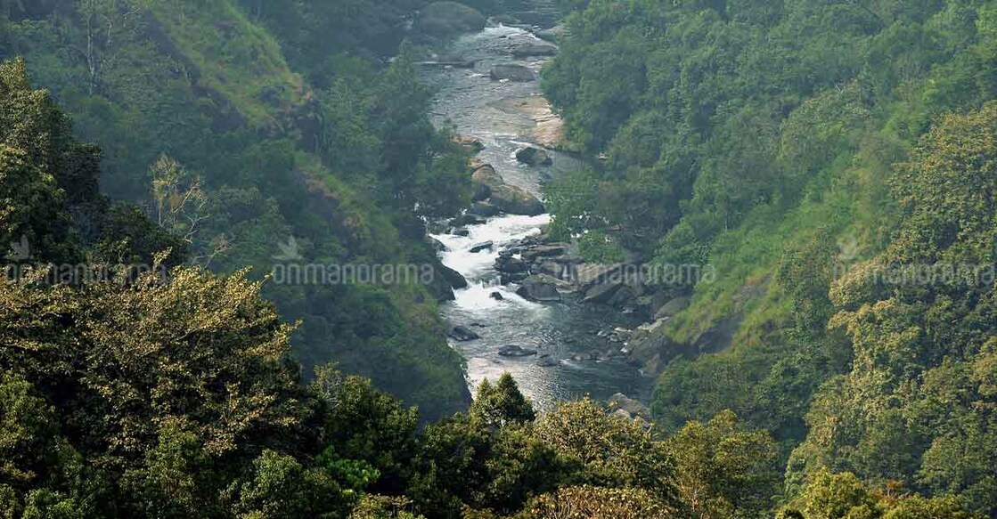 Column | When a people’s movement mobilised global support to save Silent Valley